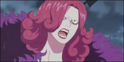 Quel fruit du démon a mangé Galette ?