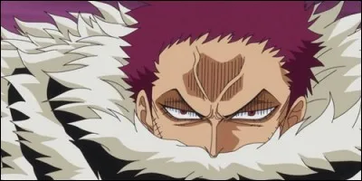 Quelle est la capacité de Katakuri ?