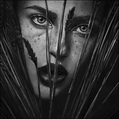 Mère de Perséphone et déesse des moissons. Qui est-elle ?