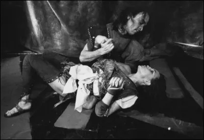 Ce héros de la guerre de Troie tombera amoureux d'une amazone une fois tuée lors d'un affrontement terrible. Qui sont-ils ?