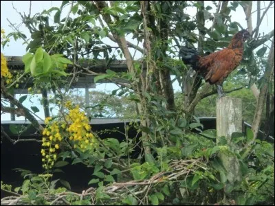 Il est exactement à l'opposé du zénith !