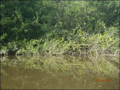 Grosse bouteille de champagne contenant l'équivalent de 20 bouteilles ordinaires, soit environ 15 litres !