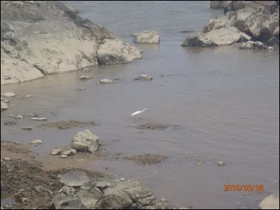 Chiquenaude sur le nez !