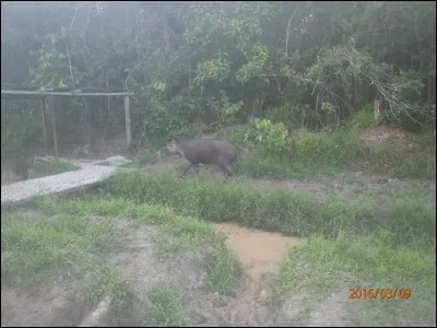 Carbonate de sodium hydraté naturel !