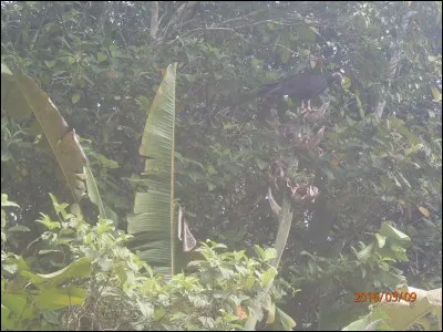 Commandant d'une flotte, d'une marine de guerre, dans la Grèce antique !