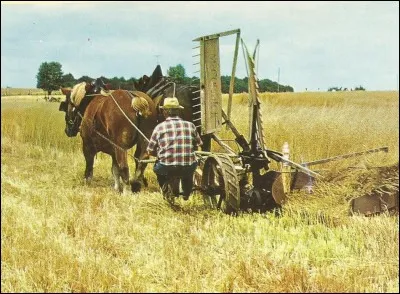 Cette machine agricole, que l'on voyait dans nos campagnes, au début du XXe siècle, a pour nom...
