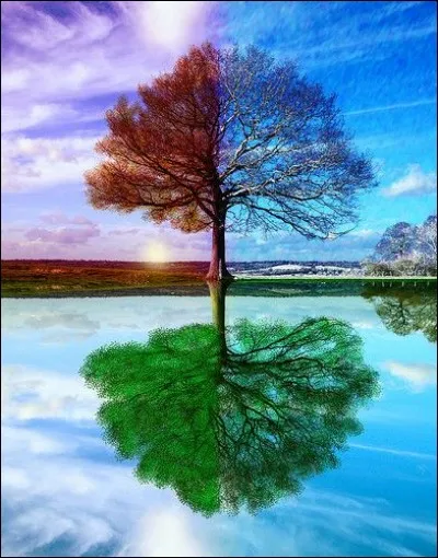 Ta saison favorite est...