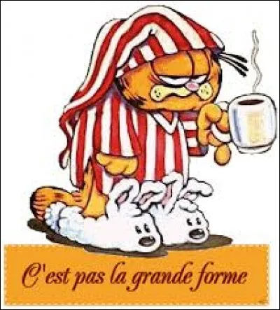 Complétez cette expression "Avoir une fièvre de...