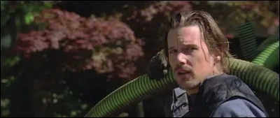 Dans quel film peut-on le voir ainsi ?