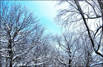 Quelle est ta saison préférée ?