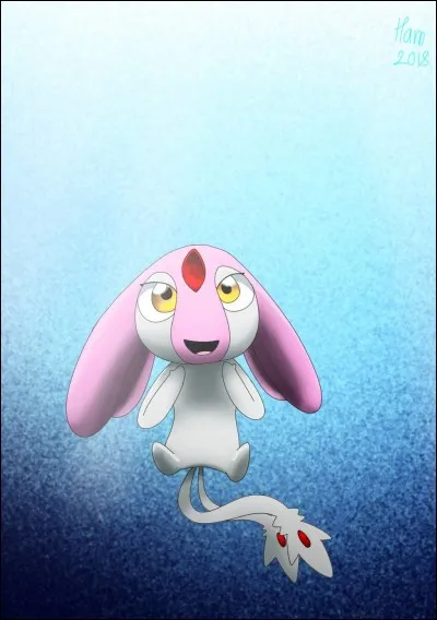 Quelle est l'évolution de Miaouss ?