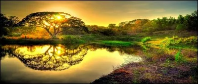 Quel autre faisceau de couleurs lui plairait ?