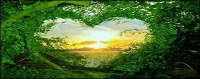 Alors la vie change. Que ferons-nous avec enthousiasme ?