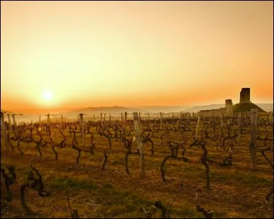 Pas de doute : vous allez pouvoir déguster un vin ... (Complétez !)