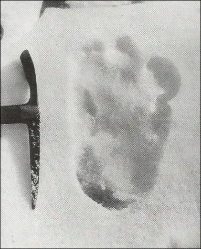 "Tintin au Tibet", sorti en janvier 1960, est l'album n°...