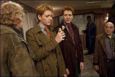 Qui a perdu une oreille ?