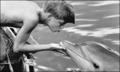 Dans quel pays se déroule la série "Flipper, le dauphin" ?