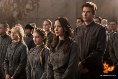À quel district appartiennent Peeta et Katniss ?