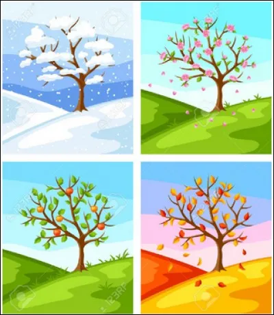 Quelle saison pr&eacute;f&egrave;res-tu ?