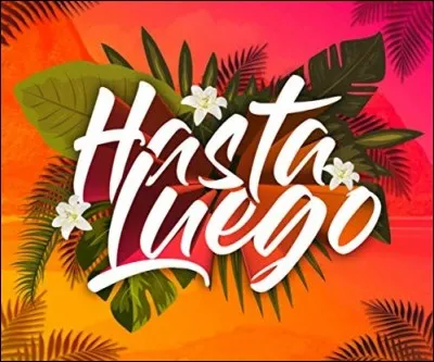 ''À bientôt, si Dieu le veut / On se reverra sous peu.'' - Qui chante ''Hasta luego'' ? Lien pour clip !