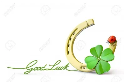 Ton porte-bonheur est plutôt :