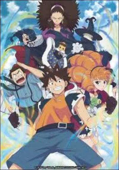 Quel est cet animé ?