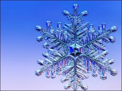 Qu'est-ce que le gel va faire de nuisible à la plante ?