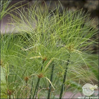 Et quel est le problème de celle-ci ?