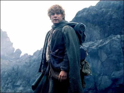 Quel est ce membre de la communaut ?