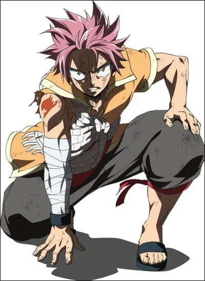 Quel nom portait le dragon de Natsu ?