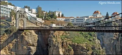 Quel est le nom d'un chanteur et acteur francophone bien qu'il fût américain ?