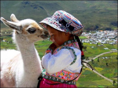 La photo d'Allin Sunqu, est intitulée ''Animal de compagnie'' : j'ai adoré la complicité qui lie ces 2 jeunes. C'est un pays mythique, évocateur, tout le monde a une image, du Machu Picchu au lac Titicaca, en passant par les lamas ou bien les alpagas (comme celui-ci) dont c'est, le plus gros producteur mondial et puis, du ''Temple du Soleil'' avec notre ami Tintin. 
D'où viennent donc nos 2 amis ?