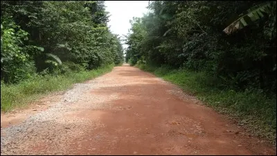 Trouvez un synonyme du mot jungle !