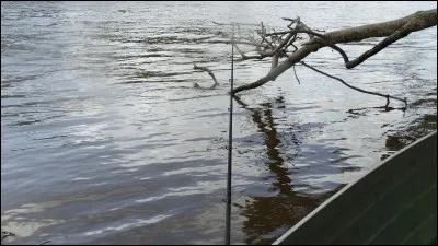 Quel poisson pouvez-vous pêcher en eau douce !