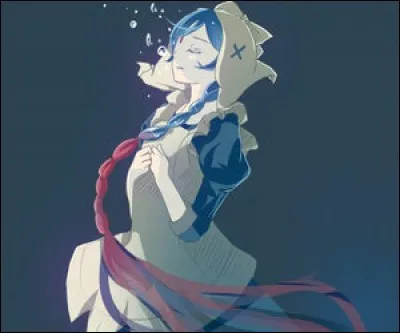 Quel obstacle s&eacute;pare les royaumes de Ryoma et de Xander ?