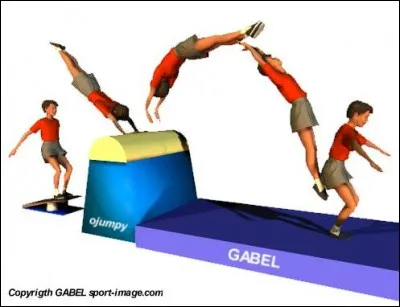 Comment s'appelle cette figure ?