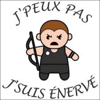 Comme vous maîtrisez tous les niveaux de langue, dites-moi de quel type d'expression est ce terme argotique : "vénère" !