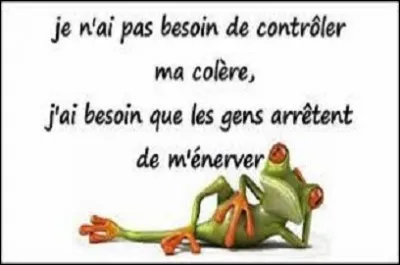 Vous avez le droit de me dire : "T'énerve pas comme ça, tu vas faire virer la couleur !" 
À quoi avez-vous emprunté cette réplique de film ?