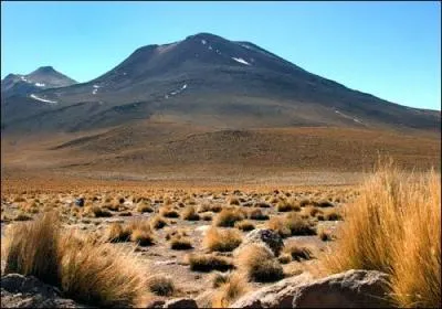 Dans quel pays se trouve le dsert d'Atacama ?