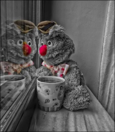 Quel est le nom de l'ours dans le Muppet Show ?