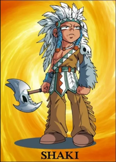 Qu'est-il arrivé au village d'où vient Shaki ?