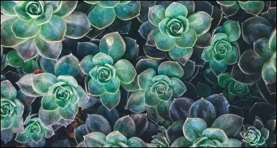 "Les Quatre Charlots mousquetaires" est interprété par Gérard Rinaldi.