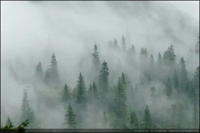 "Le Quai des brumes" est un film interprété par Jean Gabin.