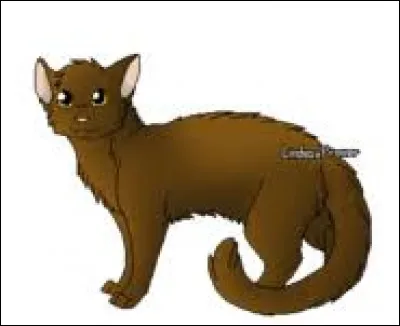 Poil de Souris a des tiques, que fais-tu ?