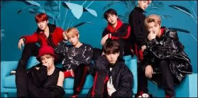 Quel est le sexy bad boy des BTS ?