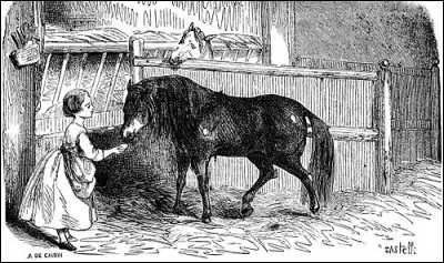 - Le Pain des chevaux
De quel coloris est le magnifique poney de Sophie ?