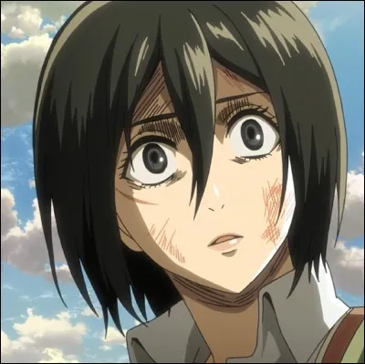 Que veut Mikasa plus que tout ?