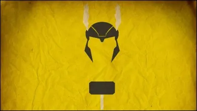 À qui appartient ce logo ?