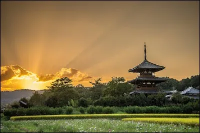 Au Japon, à quoi correspond le Tambo Art ?