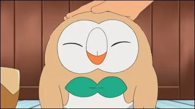 Brindibou est un Pokémon type Feu.